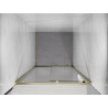 Mexen Exo-S porta de chuveiro deslizante 120 cm, transparente, dourada - 8151-120-000-50-00