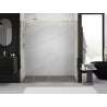 Mexen Exo puertas de ducha dobles correderas 170 cm, transparente, doradas - 8152-170-000-50-00