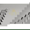 Mexen Exo vouwdeur douchedeur 75 cm, transparant, goud - 816-075-000-50-00