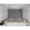 Mexen Exo-R krilna tuš vrata 160 cm, prozorna, zlata - 819-160-000-50-00
