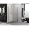 Mexen Exo-S cabina doccia scorrevole 100 x 100 cm, trasparente, dorata - 8151-100-100-50-00