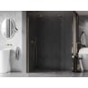 Mexen Kioto-X Walk-in Shower Wall 100 x 200 cm, Transparent 10 mm, Gold - 800-100-101-50-00-X