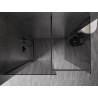 Mexen Kioto-X zidni panel za tuš Walk-in 150 x 110 cm, prozirni 10 mm, četkano tamnosivo - 800-150-202-66-00-110-X