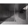 Mexen Kioto-X dušisein Walk-in 110 x 80 cm, läbipaistev 10 mm, harjatud nikkel - 800-110-202-97-00-080-X