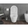Mexen Rico Rimless Tornado WC Bowl with Soft-Close Slim Seat, Duroplast, White Gloss - 30720300T