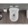 Mexeni Rico Rimfree Tornado WC-pott aeglaselt sulguva slim duroplast-istmega, valge läige - 30720300T