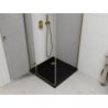 Mexen Roma cabine de douche pivotante 80 x 80 cm, transparente, or + receveur Flat, noir - 854-080-080-50-00-4070G