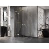 Mexen Lunar L semi-circular pivot shower enclosure 90 x 90 cm, transparent, gold - 833L-090L-090P-50-00