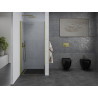 Mexen Pretoria draaideur douchedeur 70 cm, transparant, goud - 852-070-000-50-00