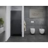 Mexen Pretoria hinged shower door 80 cm, graphite, chrome - 852-080-000-01-40
