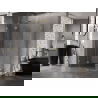 Mexen Lunar Duo scharnierende douchecabine 120 x 100 cm, transparant, goud - 834-120L-100P-50-00
