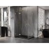 Mexen Lunar Duo cabine de douche pivotante 110 x 100 cm, transparent, or brossé - 834-110L-100P-55-00