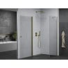 Mexen Pretoria cabine de douche pivotante 90 x 100 cm, transparent, dorée - 852-090-100-50-00