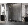 Mexen Lunar L Duo Hinged Shower Enclosure 115 x 115 cm, Transparent, Brushed Gold - 834L-115L-115P-55-00