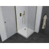 Mexen Pretoria Schwenkbare Duschkabine 70 x 70 cm, Transparent, Gold + Flat Duschwanne - 852-070-070-50-00-4010