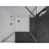 Mexen Pretoria pivot shower enclosure 80 x 80 cm, transparent, gold + Flat tray - 852-080-080-50-00-4010