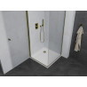 Mexen Pretoria pivot shower enclosure 80 x 80 cm, transparent, gold + Flat tray - 852-080-080-50-00-4010