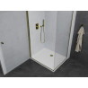 Mexen Pretoria swing shower cabin 70 x 80 cm, transparent, gold + Flat tray - 852-070-080-50-00-4010