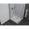 Mexen Pretoria swing shower cabin 80 x 100 cm, transparent, gold + Flat shower tray - 852-080-100-50-00-4010