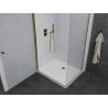 Mexen Pretoria hinged shower cabin 90 x 100 cm, transparent, gold + Flat shower tray - 852-090-100-50-00-4010