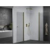 Mexen Pretoria Duo draaibare douchecabine 70 x 70 cm, transparant, goud - 852-070-070-50-00-02