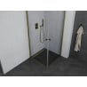 Mexen Pretoria Duo Duschkabine schwenkbar 80 x 80 cm, transparent, gold - 852-080-080-50-00-02