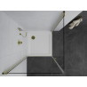 Mexen Pretoria Duo douchecabine met openslaande deuren 80 x 80 cm, transparant, goud + Flat douchebak - 852-080-080-50-02-4010G