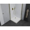 Mexen Pretoria Duo-Duschkabine, schwenkbar 80 x 80 cm, transparent, gold + Flat-Duschwanne - 852-080-080-50-02-4010G
