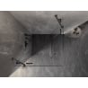 Mexen Lunar Duo 110 x 110 cm Hinged Shower Enclosure, Transparent, Brushed Gun Gray - 834-110L-110P-66-00