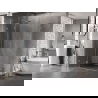 Mexen Lunar L Duo Duschkabine schwenkbar 100 x 75 cm, transparent, gebürsteter Nickel - 834L-100L-075P-97-00