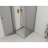 Mexen Roma Hinged Shower Enclosure 90 x 90 cm, Transparent, Gold - 854-090-090-50-00
