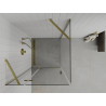 Mexen Roma schuifbare douchecabine 100 x 100 cm, transparant, goud - 854-100-100--50-00