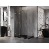 Mexen Lunar T Duschkabine, schwenkbar, links 110 x 90 cm, transparent, gold - 834T-110-090-50-00-L
