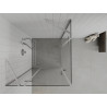 Mexen Roma Duo Duschkabine Schwenkbar 120 x 120 cm, transparent, chrom - 854-120-120-02-00