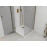 Mexen Roma cabine de douche pivotante 100 x 100 cm, transparent, or + receveur Flat - 854-100-100-50-00-4010