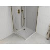 Mexen Roma cabine de douche pivotante 100 x 100 cm, transparent, or + receveur Flat - 854-100-100-50-00-4010