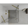 Mexen Roma Duo 90 x 90 cm Pivot Shower Enclosure, Transparent, Gold - 854-090-090-50-00-02