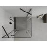 Mexen Roma Duo Duschkabine, schwenkbar 100 x 100 cm, transparent, schwarz - 854-100-100-70-00-02