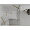 Mexen Roma Duo cabine de douche pivotante 90 x 90 cm, transparent, or + receveur plat - 854-090-090-50-02-4010G