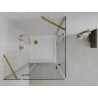 Mexen Roma Duo Duschkabine Schwingtür 100 x 100 cm, transparent, gold + Duschtasse Flat - 854-100-100-50-02-4010G