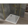 Mexen Omega schuifbare douchecabine 100 x 100 cm, transparant, goud + Flat douchebak - 825-100-100-50-00-4010