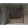 Mexen Omega schuif douchecabine 100 x 100 cm, grafiet, chroom - 825-100-100-01-40