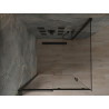 Mexen Omega schuifdouchecabine 100 x 100 cm, transparant, zwart - 825-100-100-70-00