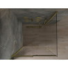 Mexen Omega cabine de douche coulissante 100 x 100 cm, transparente, dorée - 825-100-100-50-00