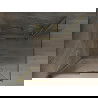 Mexen Omega douchecabine schuifdeur 100 x 100 cm, transparant, goud - 825-100-100-50-00