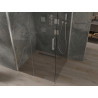 Mexen Omega kabina prysznicowa rozsuwana 100 x 100 cm, transparent, chrom - 825-100-100-01-00