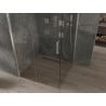 Mexen Omega klizna za tuš na klizanje 100 x 100 cm, prozirna, krom - 825-100-100-01-00