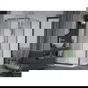 Mexen Apia schuifbare douchecabine 100 x 100 cm, transparant, chroom + Flat douchebak - 840-100-100-01-00-4010