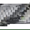 Mexen Apia schuifbare douchecabine 100 x 100 cm, transparant, chroom + Flat douchebak - 840-100-100-01-00-4010