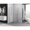 Mexen Exo-B svängbar duschkabin 95 x 95 cm, transparent, krom - 817-095-095-01-00